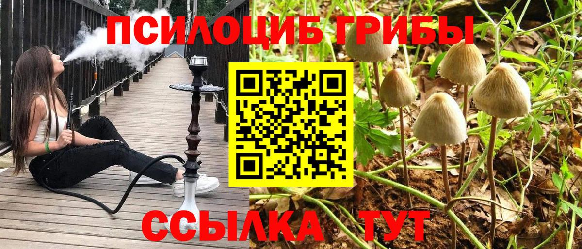 купить  сайты  Галлюциногенные грибы Cubensis  Псилоцибиновые грибы ЛСД  Вход с VPN  Дюртюли 